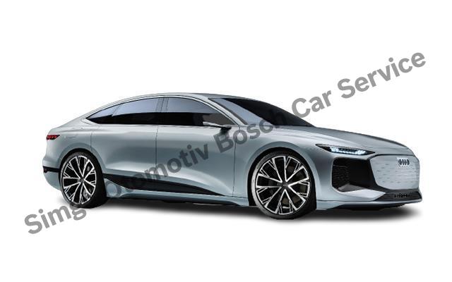 İzmir Audi Servisi