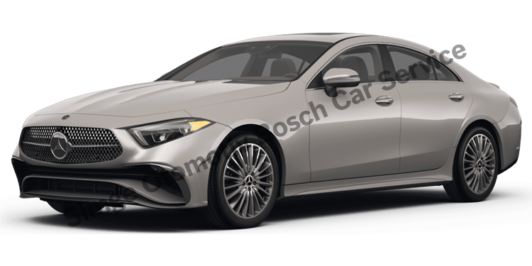 İzmir Mercedes Servisi