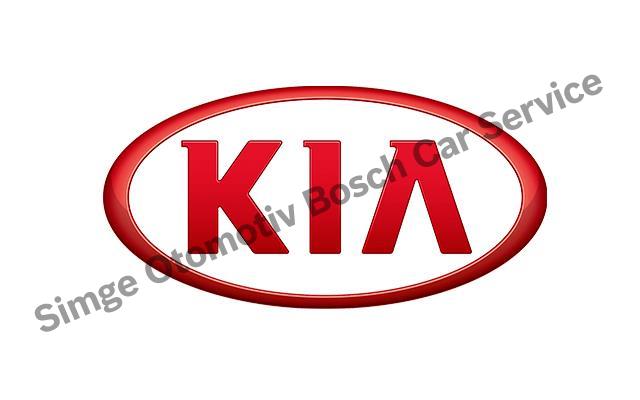 İzmir Kia Servisi